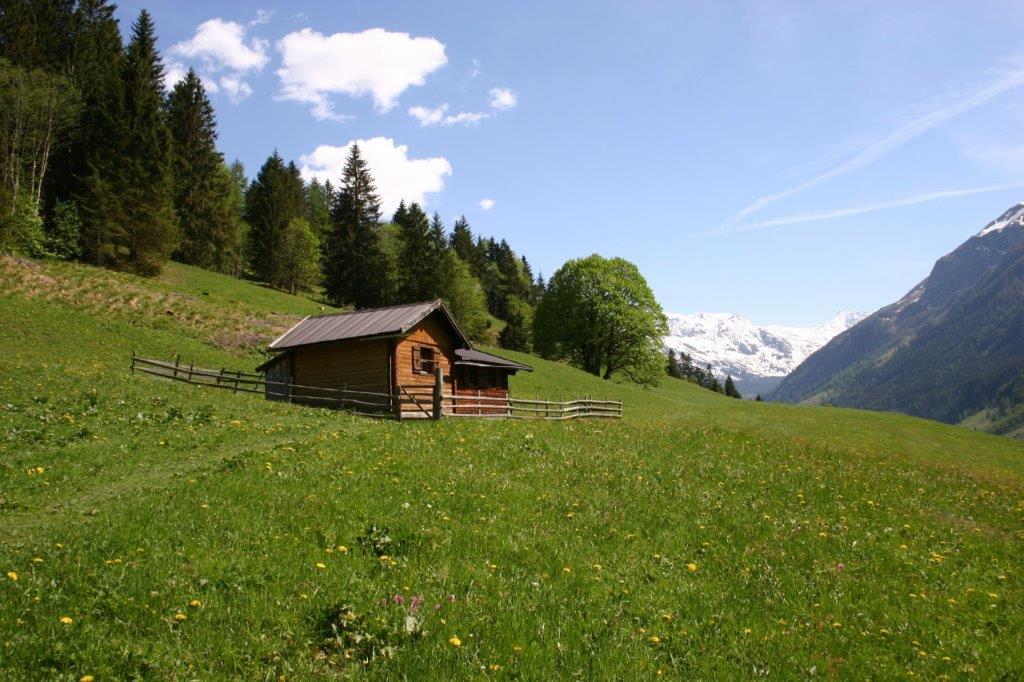 NIG-SBG